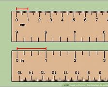 Image result for How Long Is 2-3 Inches
