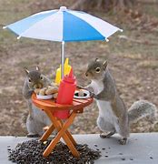 Image result for Animals at Lunch Funny Pic