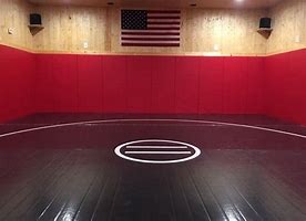 Image result for High School Wrestling Mat