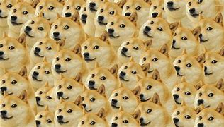 Image result for Meme Dog Wallpaper PC