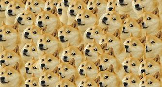 Image result for Meme Wallpaper 2019 Dog