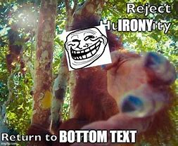 Image result for Troll Meme