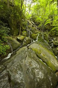 Image result for Great Falls