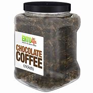 Image result for Chocolate Crickets