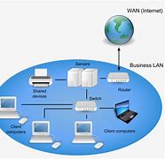 Image result for Wild Area Network