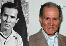 Image result for Henry Silva