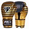 Image result for Pro Boxing