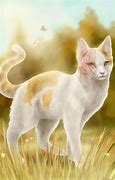 Image result for Willowpelt From Warrior Cats in Real Life