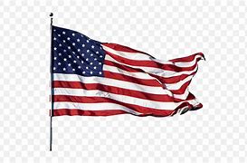Image result for American Flag Favicon