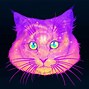 Image result for Galactic Cat
