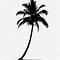 Image result for Beach Palm Tree Silhouette
