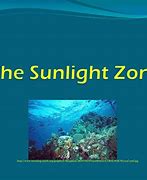 Image result for Sun Habitable Zone