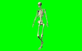 Image result for Green Skeleton Greensreen