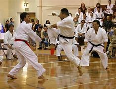Image result for Shotokan Karate