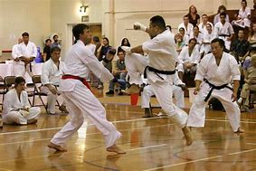 Image result for Karate Japan