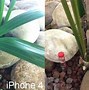 Image result for iPhone 4 4S and iPhone Size Comparison