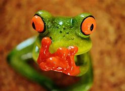 Image result for Funny Frog Face