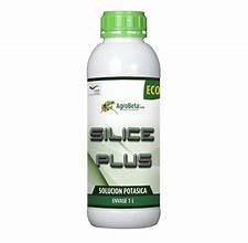 Image result for Silver Plus Eco 1L UAE