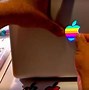 Image result for Apple Stickers for Laptop