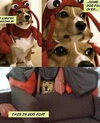 Image result for Lobster Dog Meme