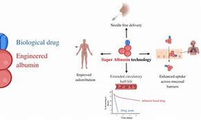 Image result for albuminoids