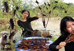 Image result for BBQ Crickets