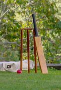 Image result for Backyard Cricket Set