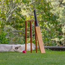 Image result for backyard cricket set