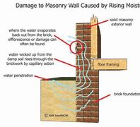 Image result for Wall Moisture