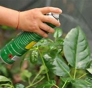 Image result for Leaf Cleaning Spray
