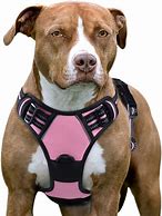 Image result for Harness Clip