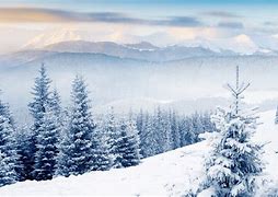 Image result for Free Winter Snow Scenes