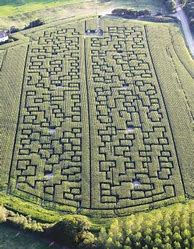 Image result for Pop Corn Labyrinthe