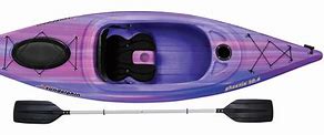 Image result for Sun Dolphin Purple Kayak