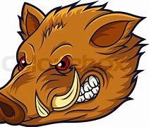 Image result for Wild Boar Character Face