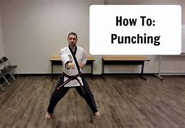 Image result for Martial Arts Phoenix Punch