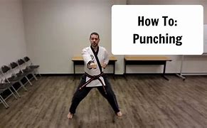 Image result for Martial Arts Punch