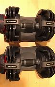 Image result for Bowflex Single Dumbbell Stand
