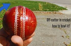 Image result for Provo's Cricket Cutter