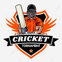 Image result for Customs Cricket Badge with Wicket
