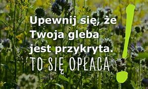 Image result for co_to_za_Żywice_alkidowe