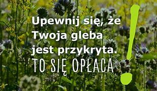 Image result for co_to_za_Żywkowo