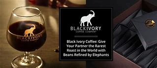 Image result for Black Ivory Elephant Coffee