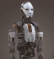Image result for Human with Robot Full Body