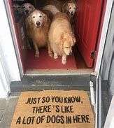 Image result for Wholesome Pet Memes
