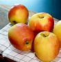 Image result for Apple Cultivars