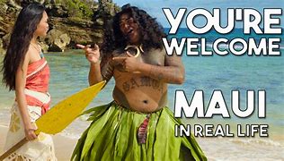 Image result for Moana Thank You Your Welcome