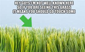 Image result for Tall Grass Meme