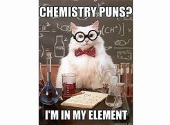 Image result for Chemistry Cat Jokes