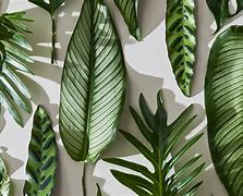 Image result for Aesthetic Desktop Wallpaper HD Plants